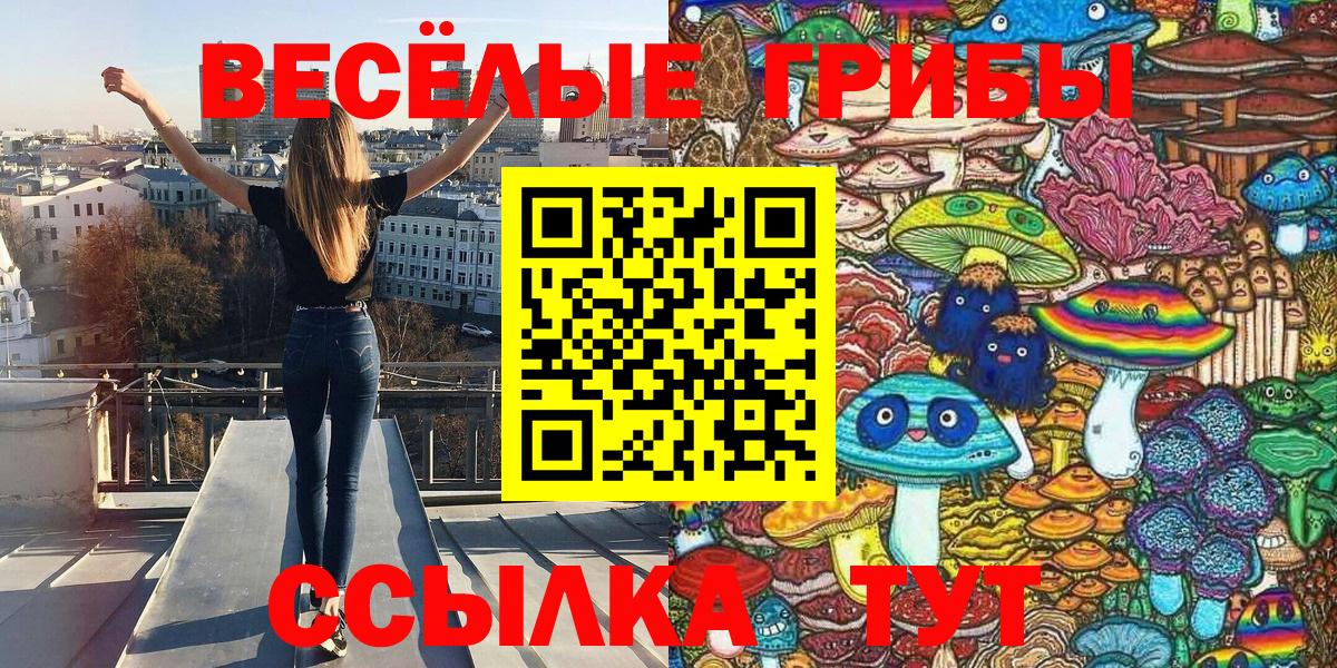 Кандалакша  Галлюциногенные грибы мухоморы  Вход с VPN 