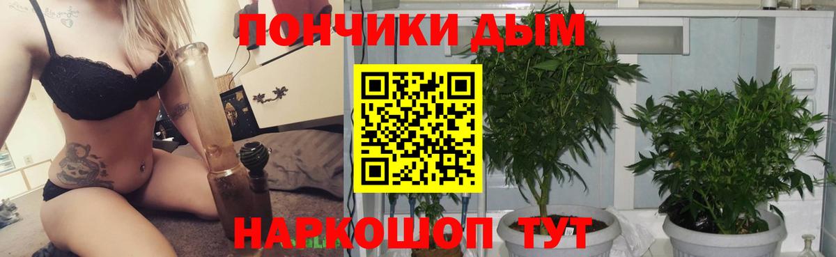 Кандалакша  МАРИХУАНА семена  Канабис ГИДРОПОН  Вход с VPN 